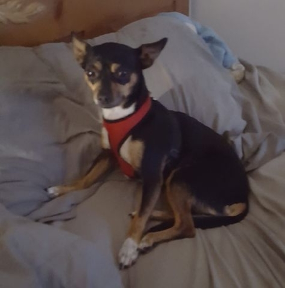 Meet your Posher, Matthew - Picture 1 of 1